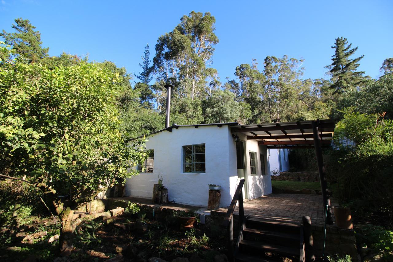 Kingfisher Cottage At Boschrivier Farm Plettenberg Bay Wittedrif Ngoại thất bức ảnh