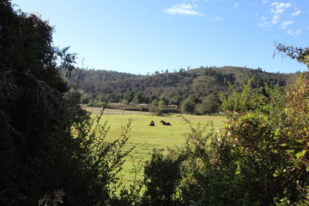 Kingfisher Cottage At Boschrivier Farm Plettenberg Bay Wittedrif Ngoại thất bức ảnh